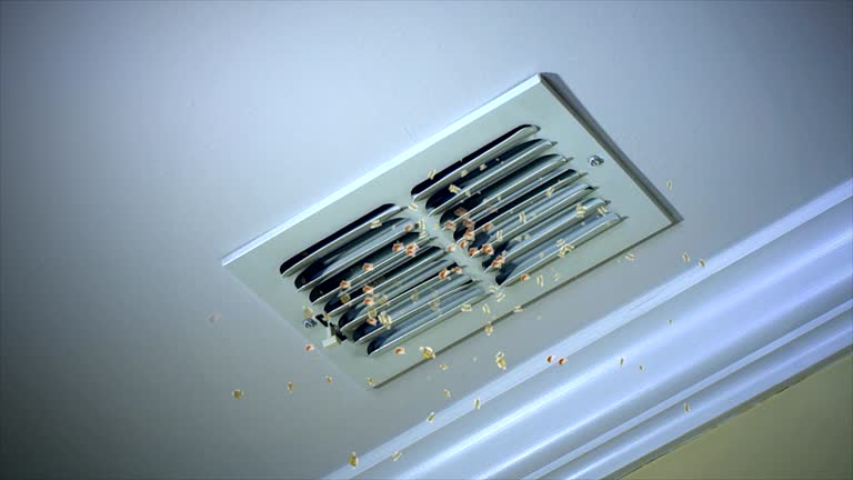 Best Residential Air Duct Cleaning  in La Verkin, UT